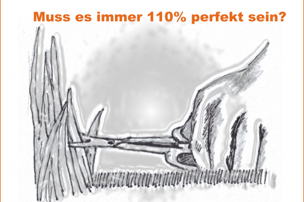 Du stehst dir oft selbst im Weg, da alles perfekt sein muss? So kommst du weiter…
