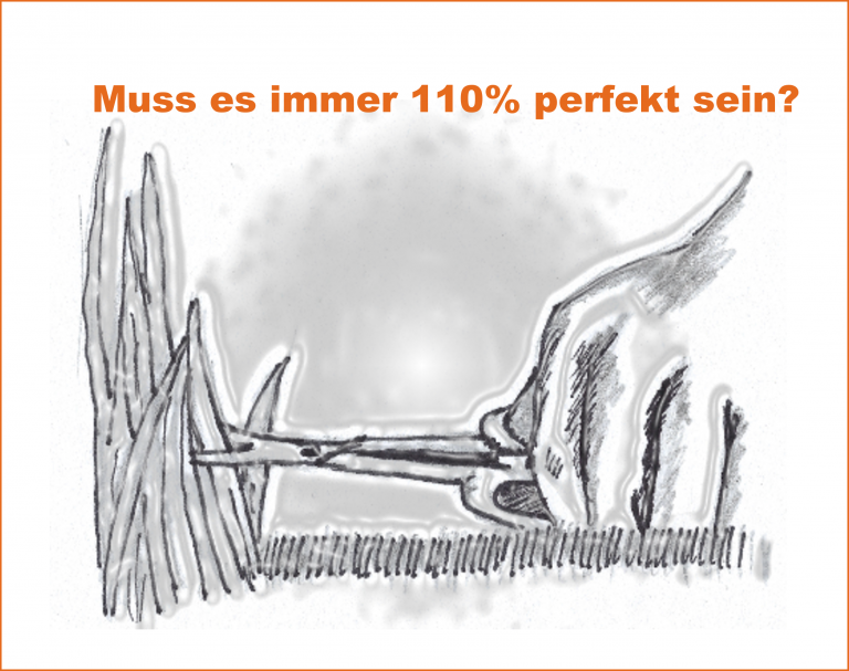 Mehr über den Artikel erfahren Du stehst dir oft selbst im Weg, da alles perfekt sein muss? So kommst du weiter…